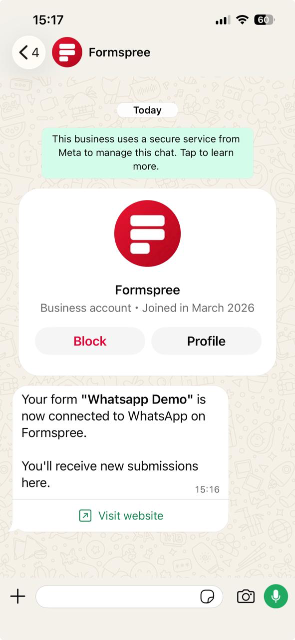 WhatsApp confirmation message after connecting the plugin